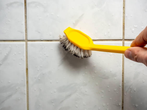 Mold Removal and Inspection in La Presa, CA