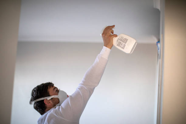 Best Mold Cleaning Services  in La Presa, CA