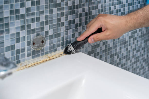 Best Mold Removal Near Me  in La Presa, CA