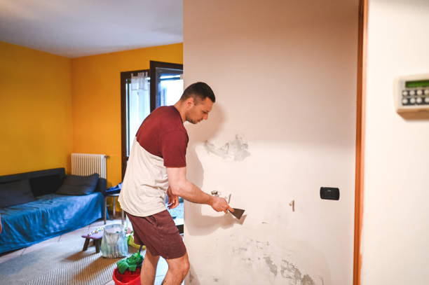 Certified Mold Removal in La Presa, CA